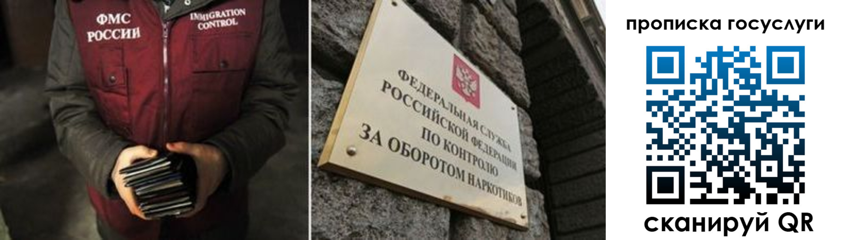 временная регистрация поиск в Александрове